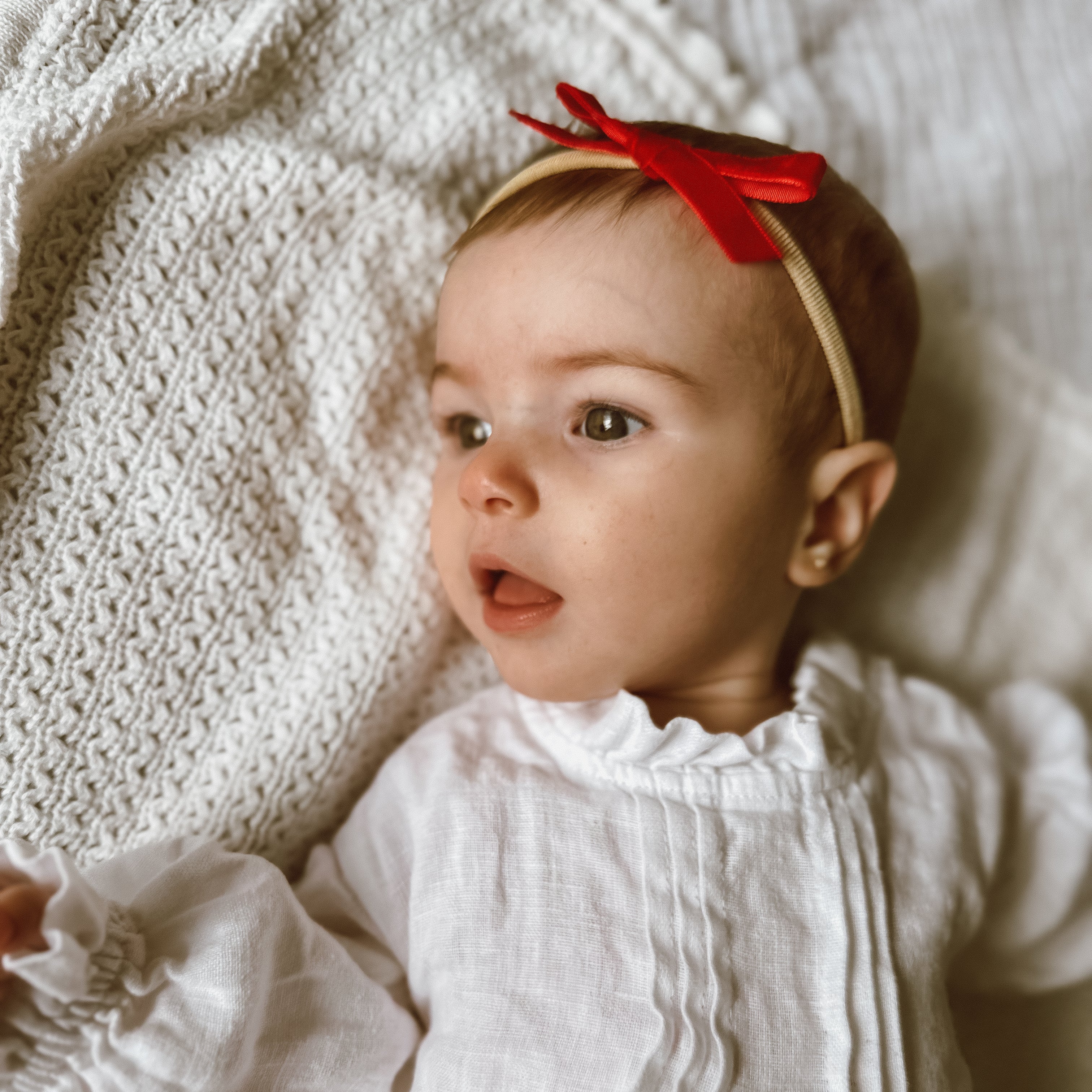 Maisy Christmas Velvet Bow | Nylon Headband