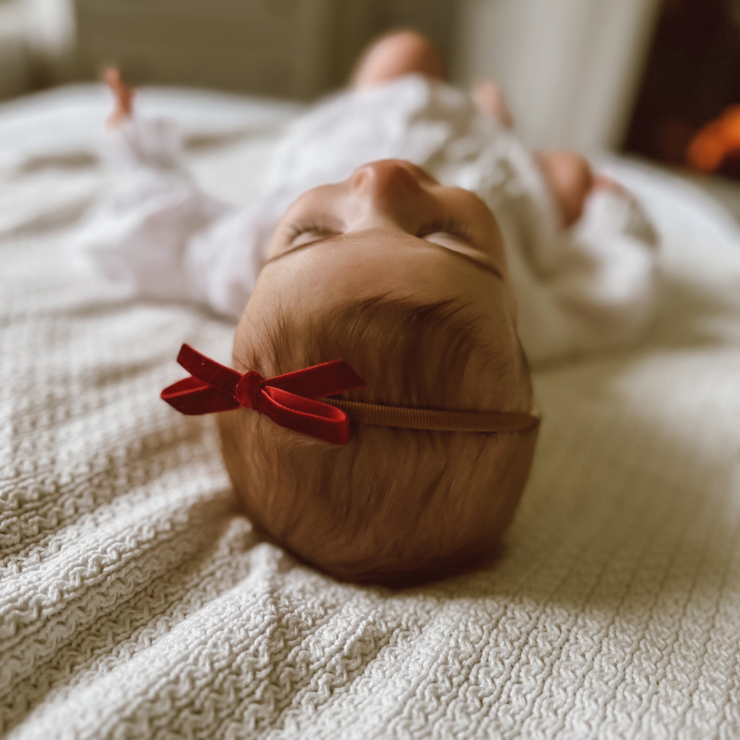 Maisy Christmas Velvet Bow | Nylon Headband