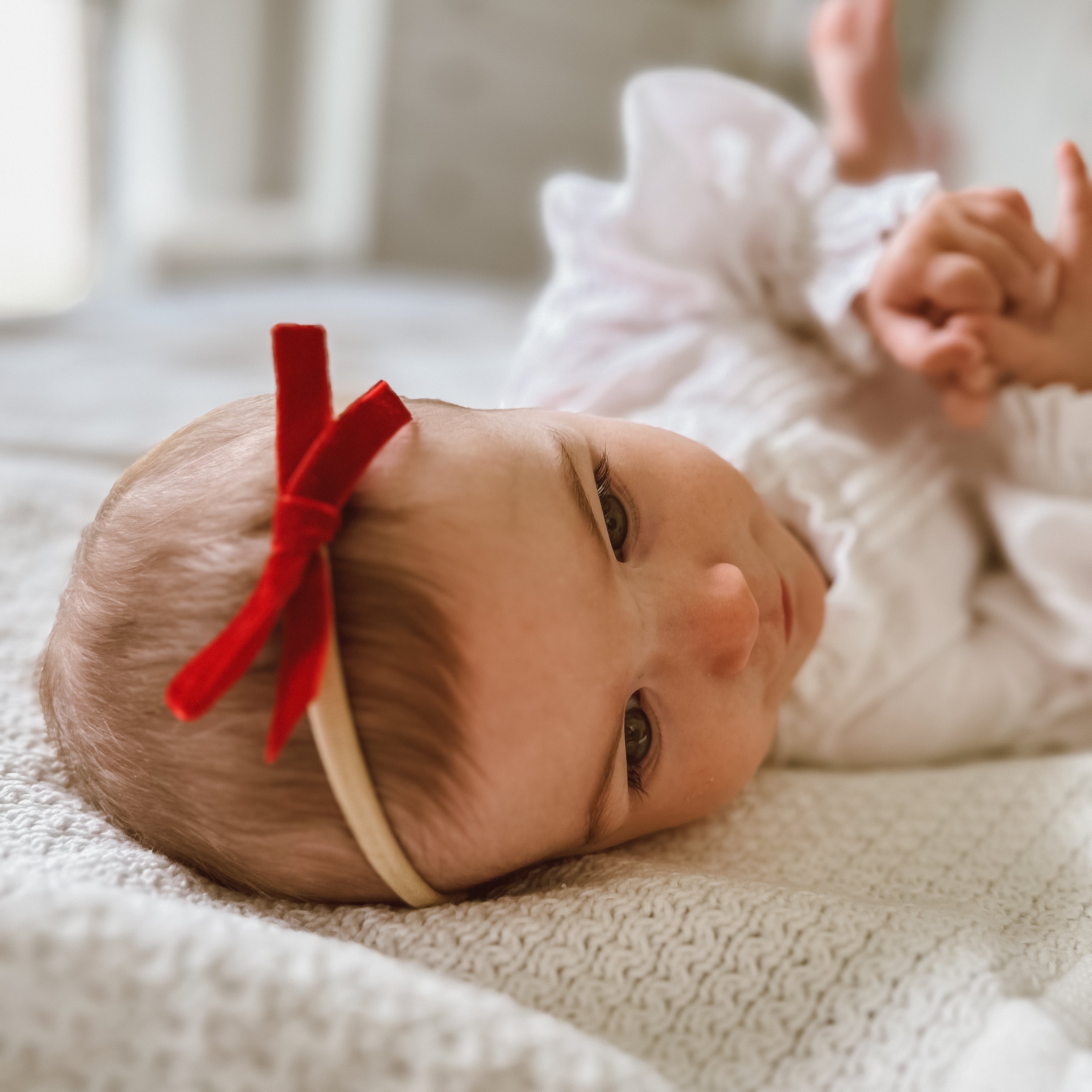 Maisy Christmas Velvet Bow | Nylon Headband