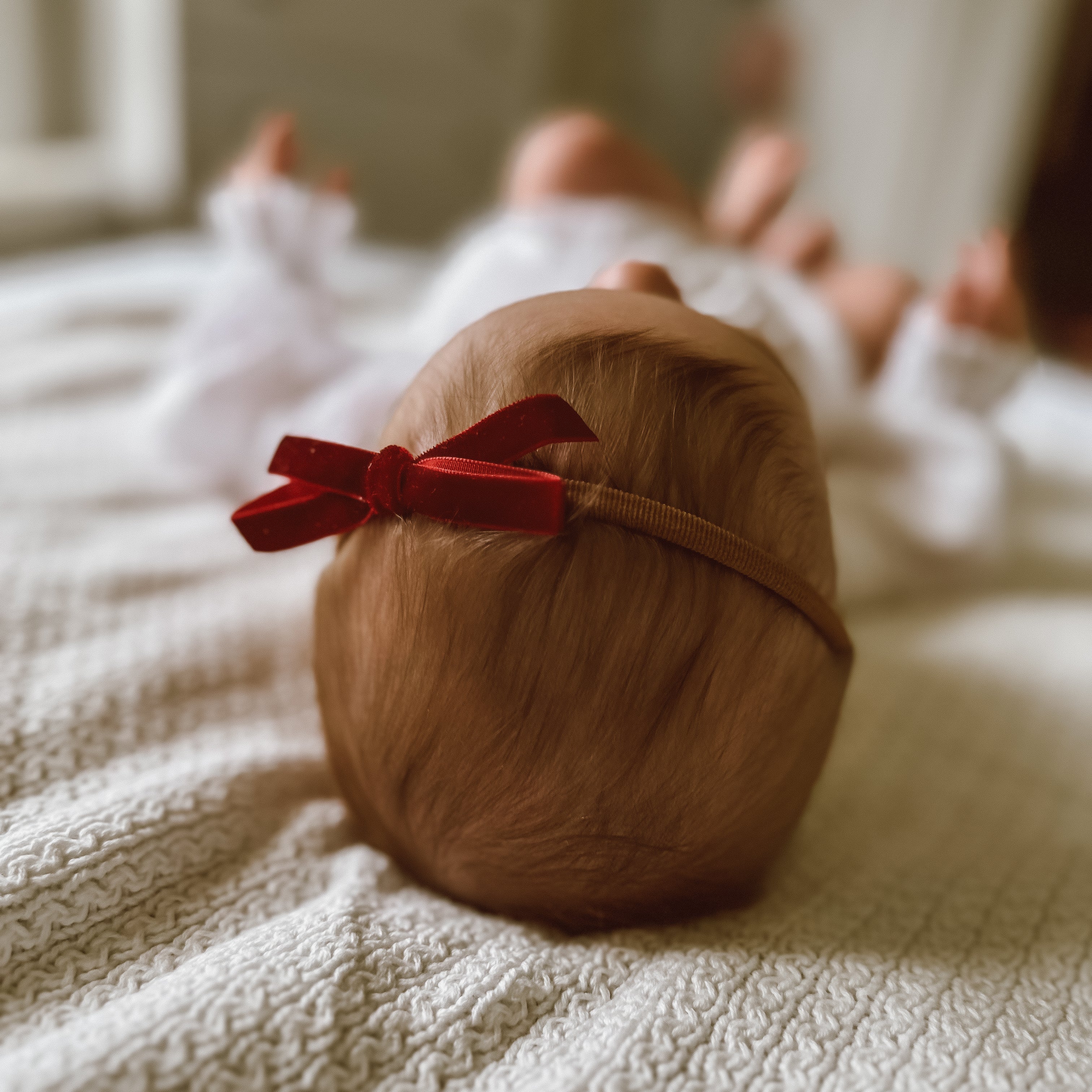 Maisy Christmas Velvet Bow | Nylon Headband